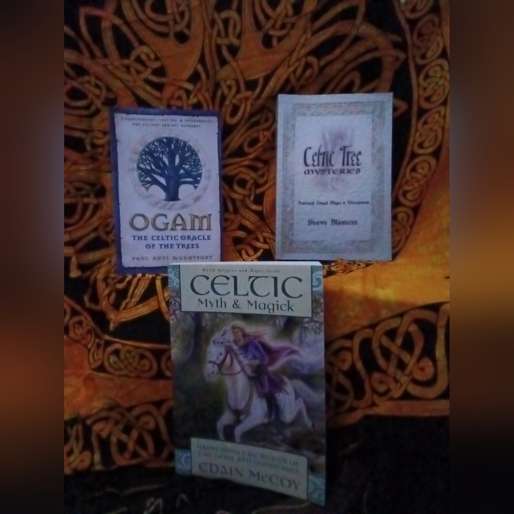 Celtic Tree Mysteries Book By Steve Blamires
